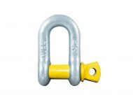 Rated Screw Pin Dee Shackle