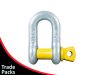 Trade Pack Rated Screw Pin Dee Shackle
