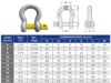 Galvanised Bow Shackle AS2741 Grade S Specifications